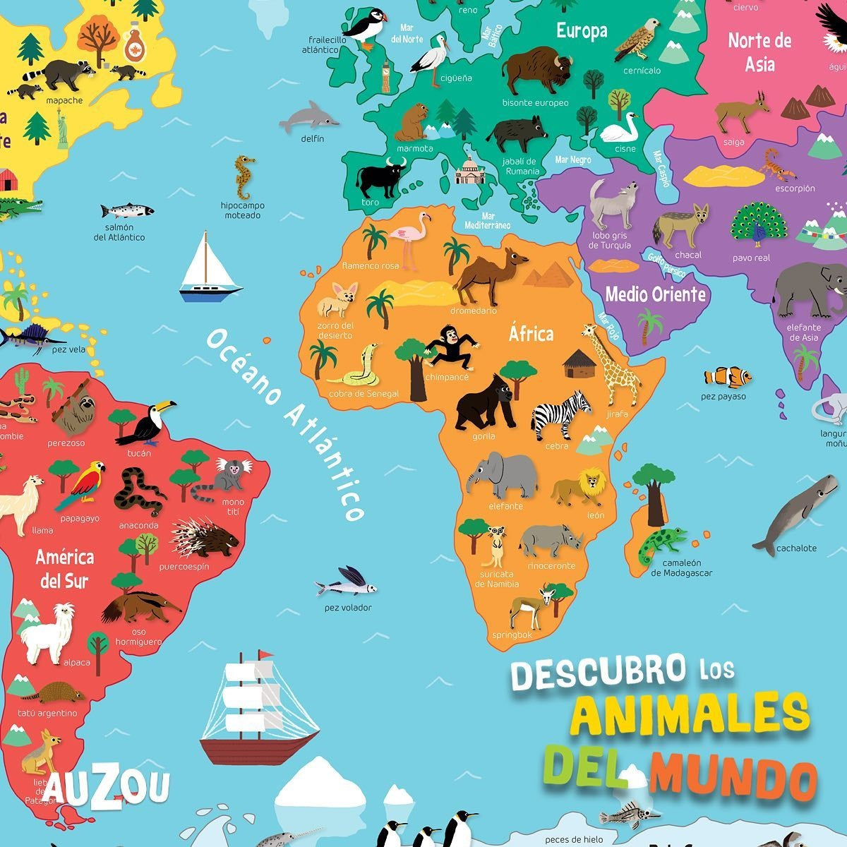 Descubro los Animales del Mundo Descubro los Animales del Mundo
